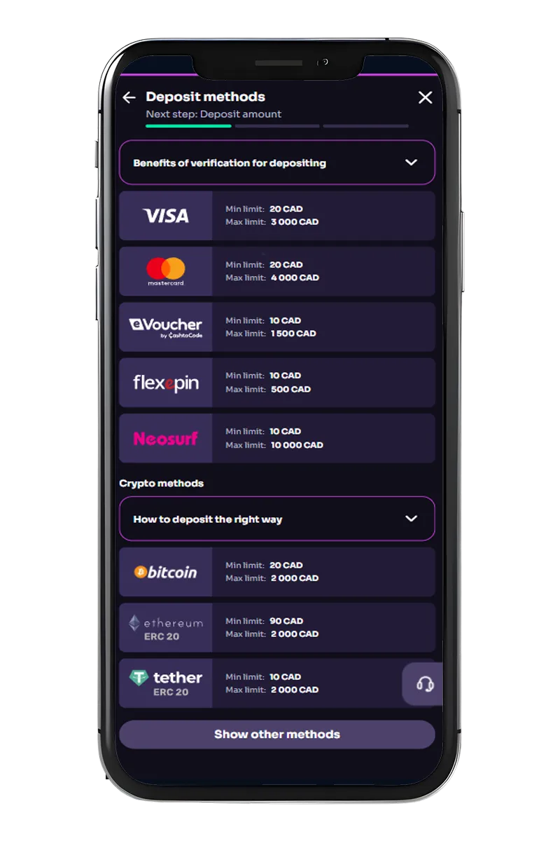 A screenshot of the mobile app showing payment options